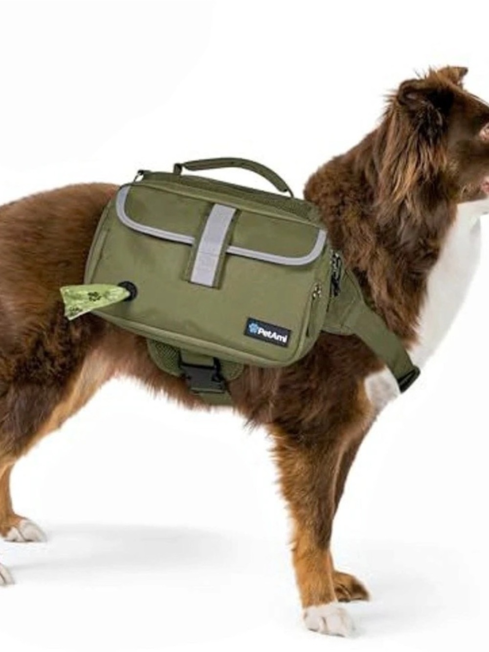 Pawfy Dog Backpack Carrier in Green Like New (NWOT)